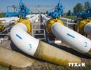 Nga bắt đầu xây đường ống dẫn gas đến Trung Quốc từ tháng Tám